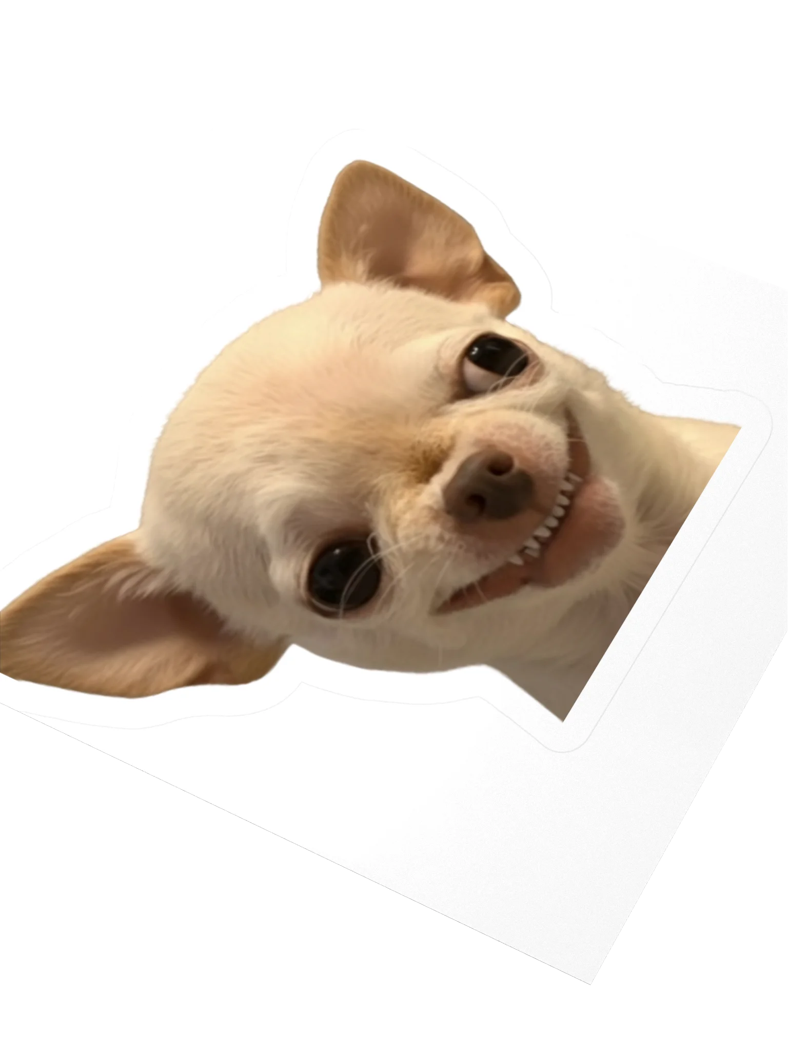 Evil Dog Sticker product image (8)
