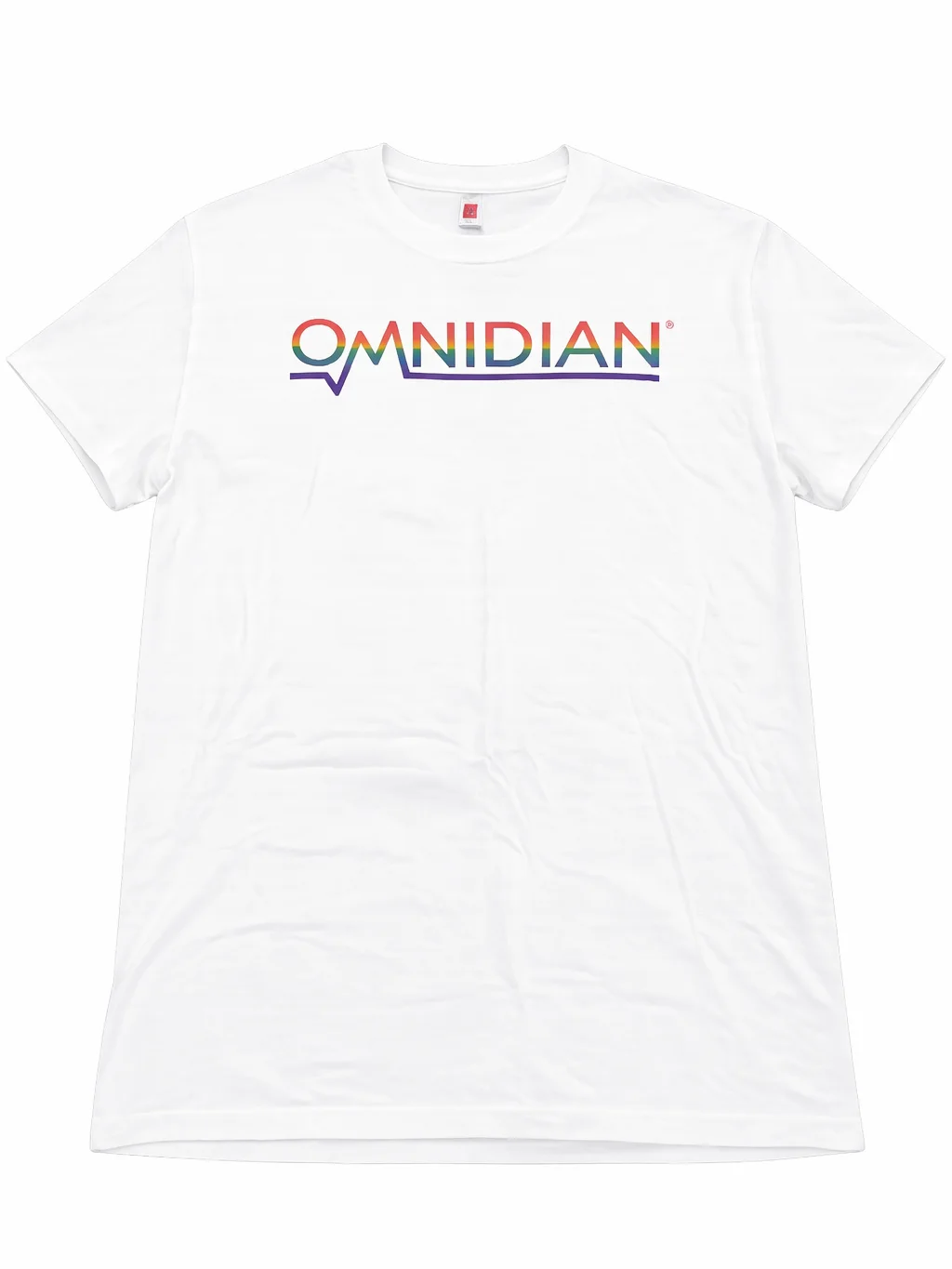 Omnidian - Pride Shirt 1 product image (1)