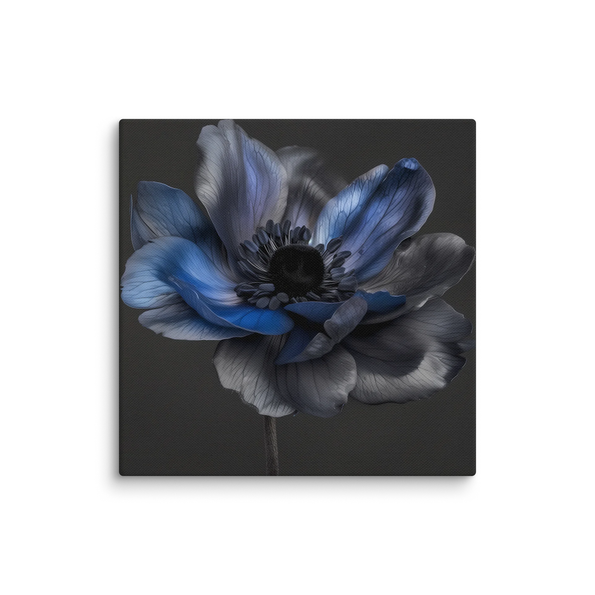 Solitary Form | Nocturne Anemone I - Canvas product image (1)