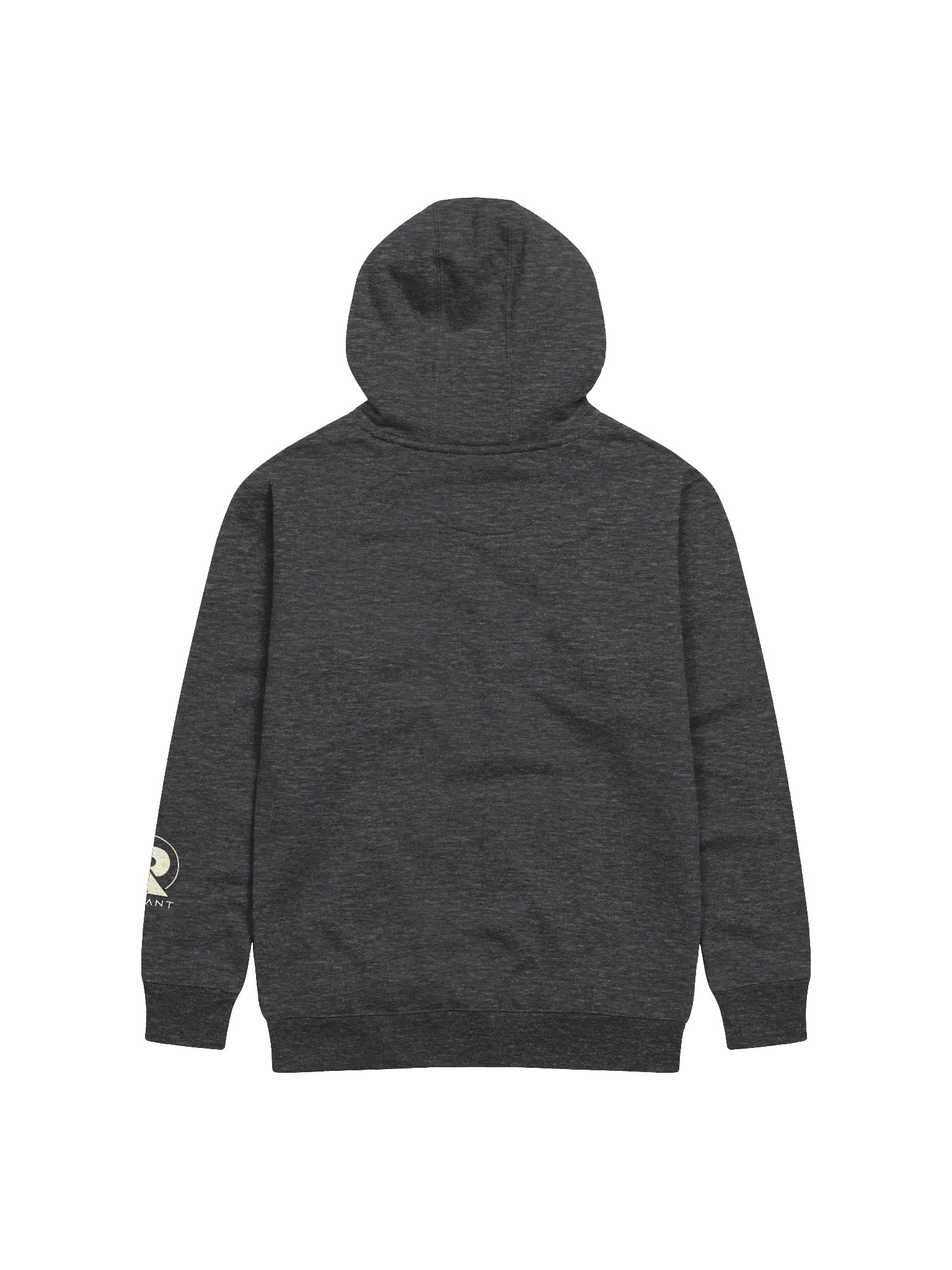 A $RADCAT Hoodie product image (2)