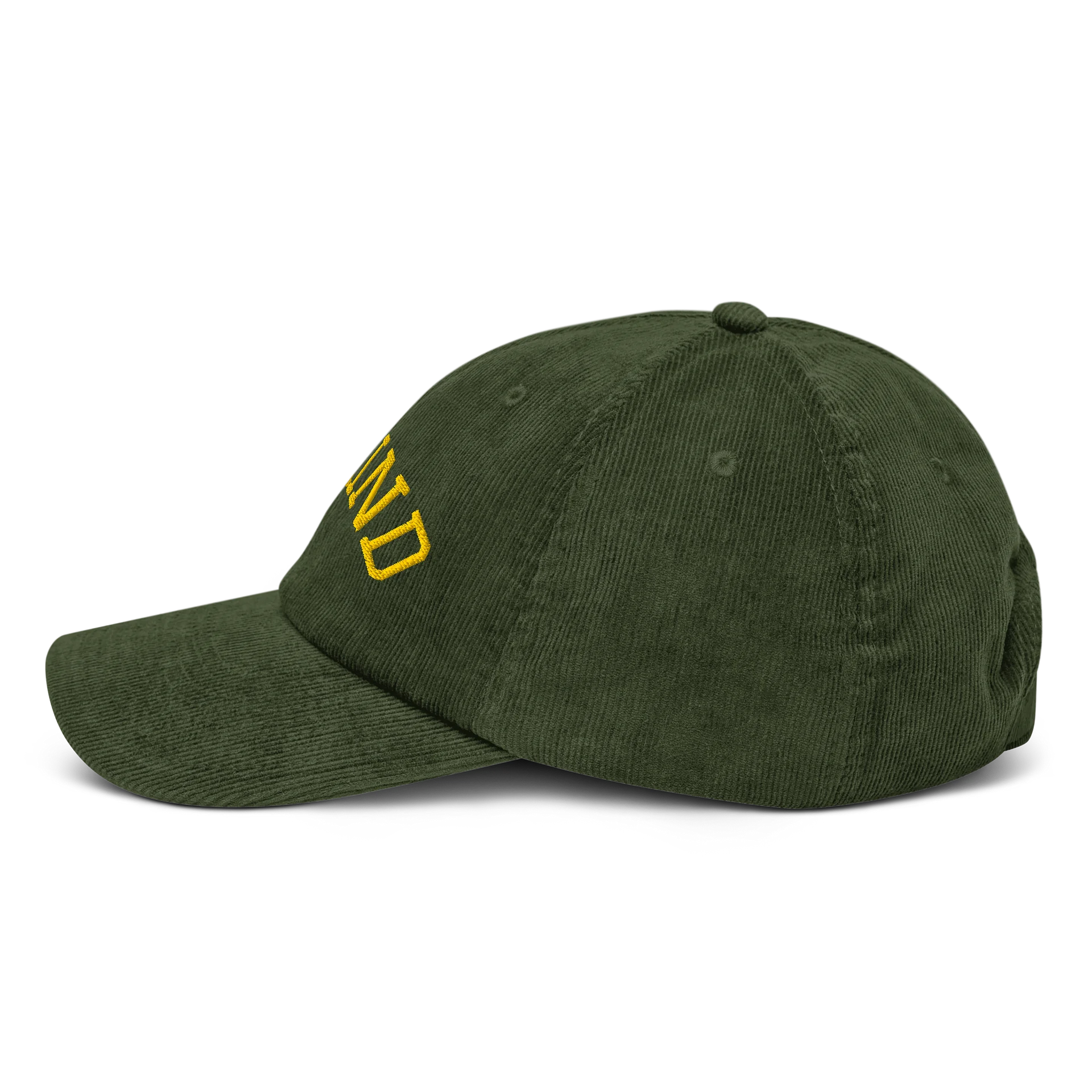 Be Kind Corduroy Hat product image (15)
