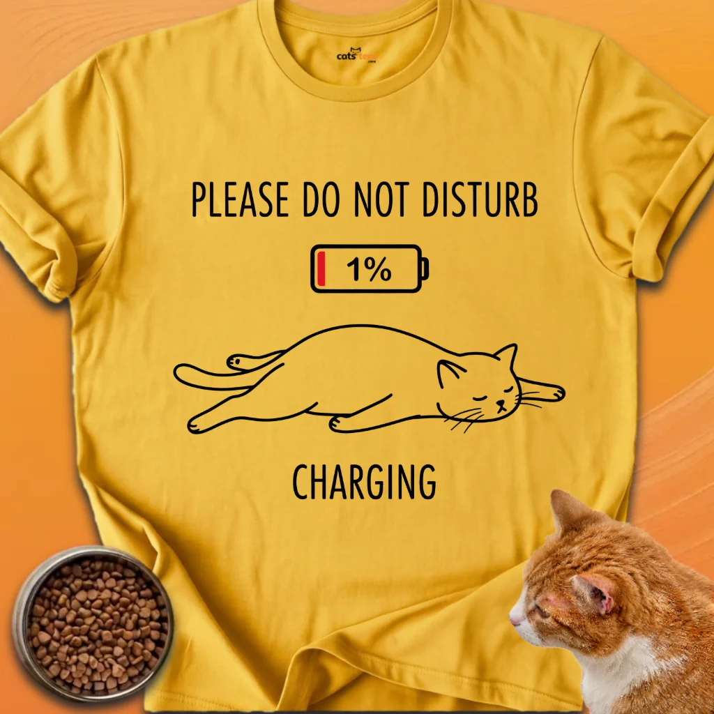 Please Do Not Distrub product image (15)