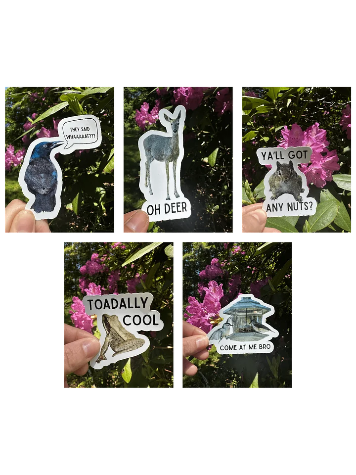 Funny Stickers Bundle Offer product image (1)