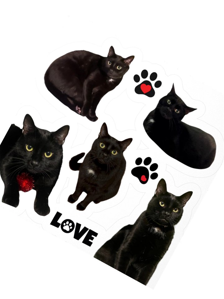 Catan - Black Cat Stickers product image (2)
