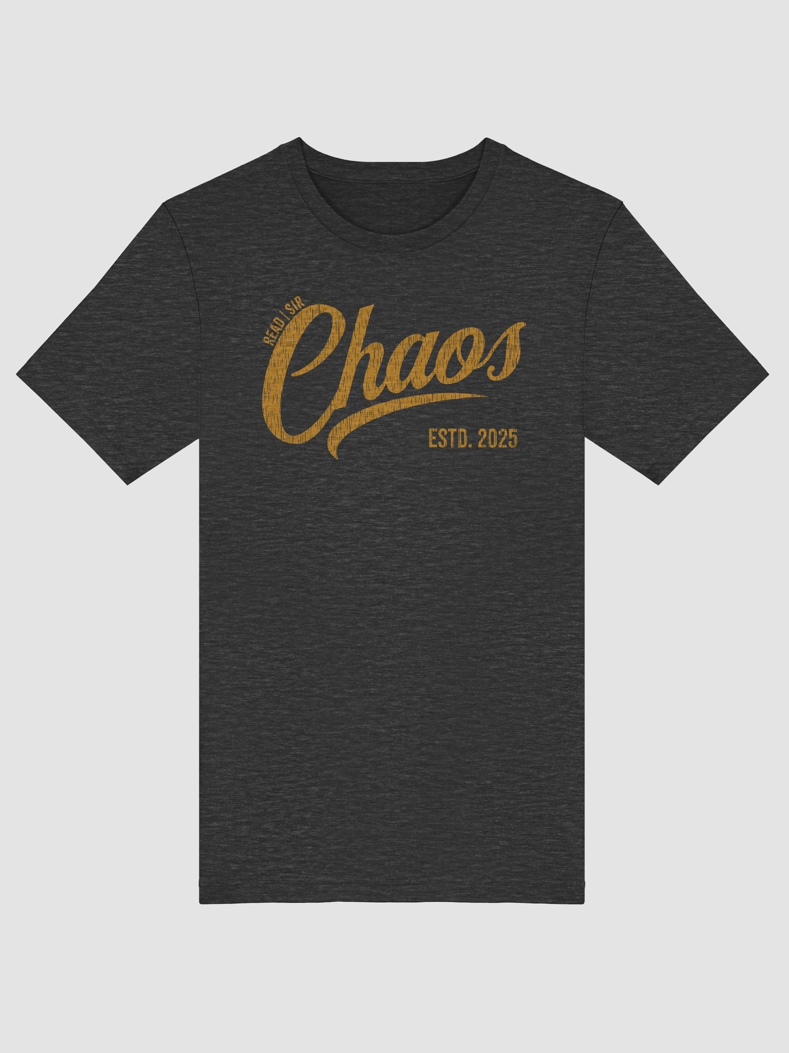 Read | Sir Chaos T-Shirt product image (48)