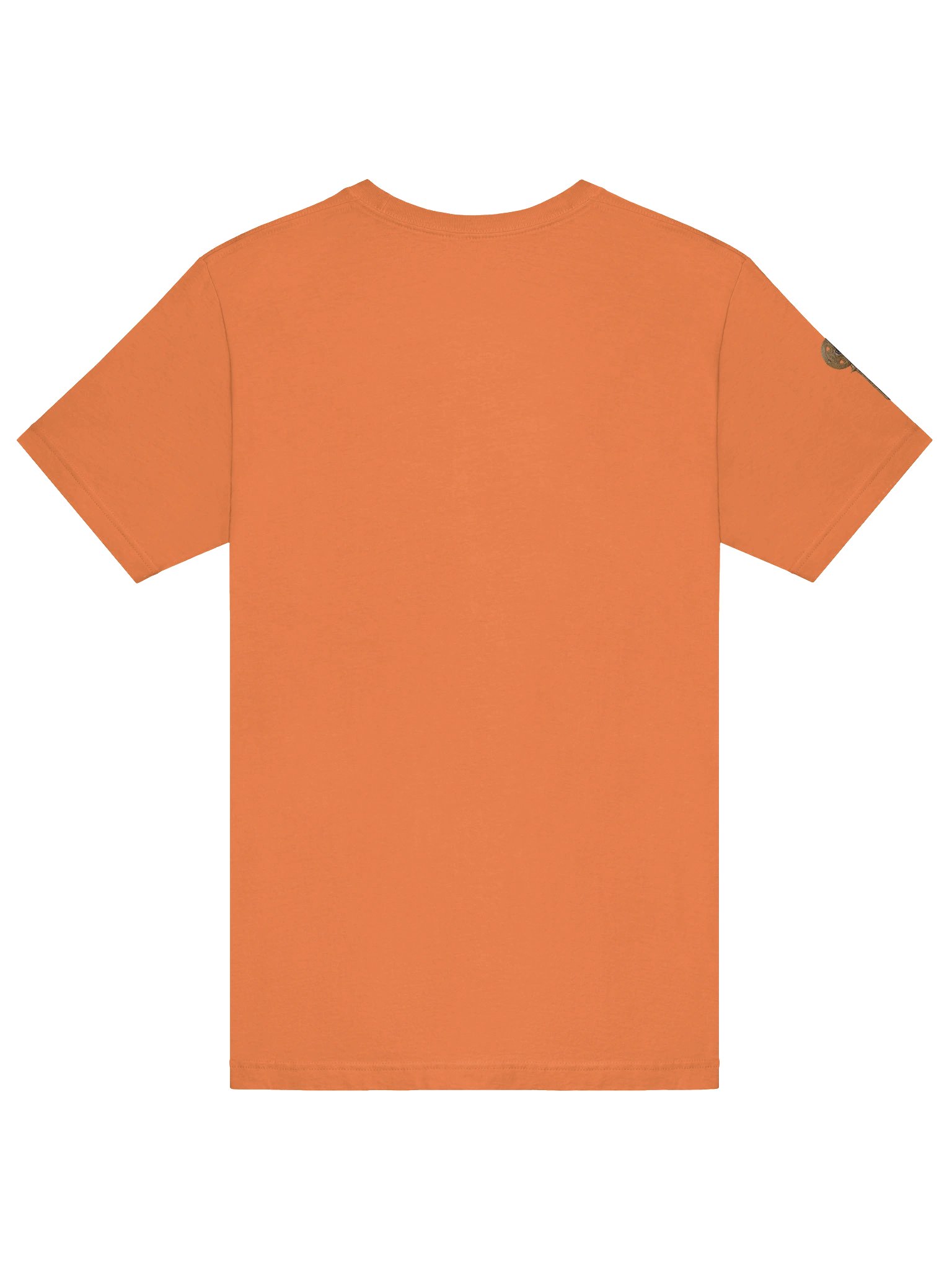 The Gatekeeper’s Key Classic T-Shirt – Front & Right Shoulder Print | Burnt Orange | Bella+Canvas 3001 product image (6)