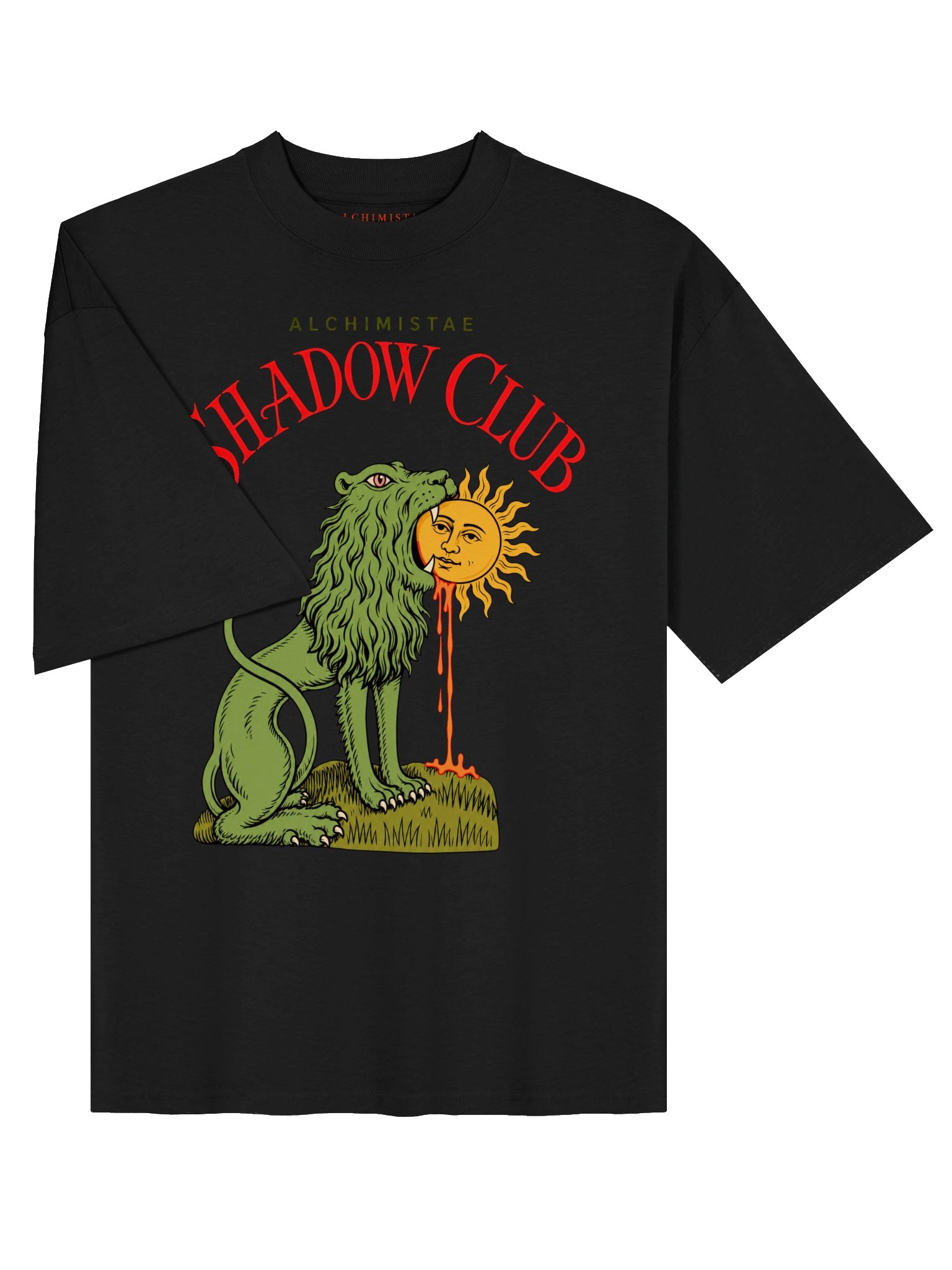 T-Shirt Unisex Oversize Coton Bio Poids Lourd - LION ALCHIMIQUE product image (9)