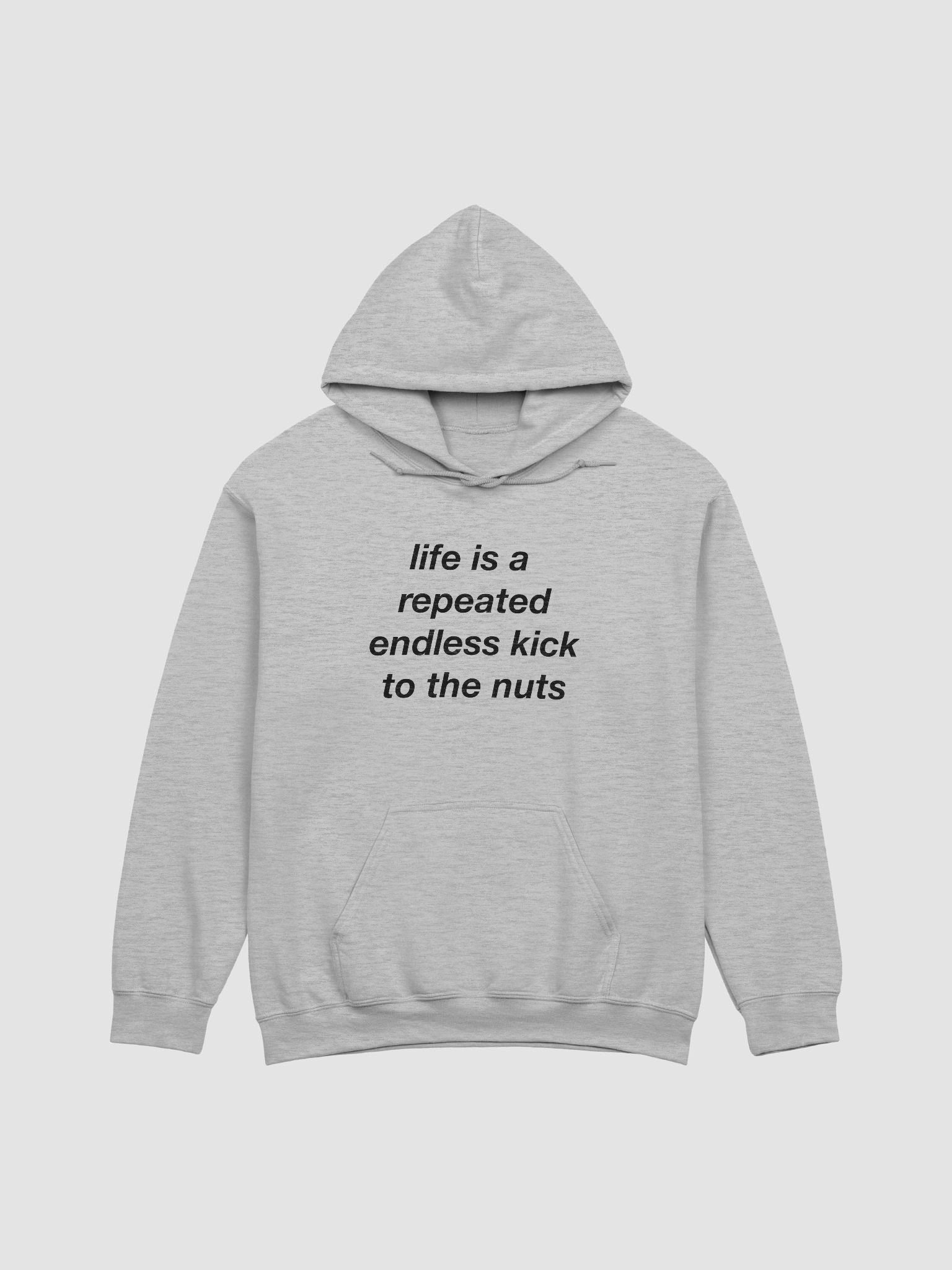 Life is repeated endless kick to the nuts product image (1)