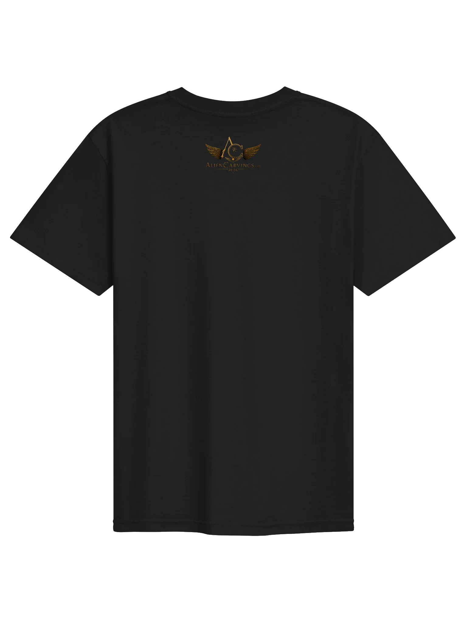 Going Up, UFO Premium T-Shirt product image (2)