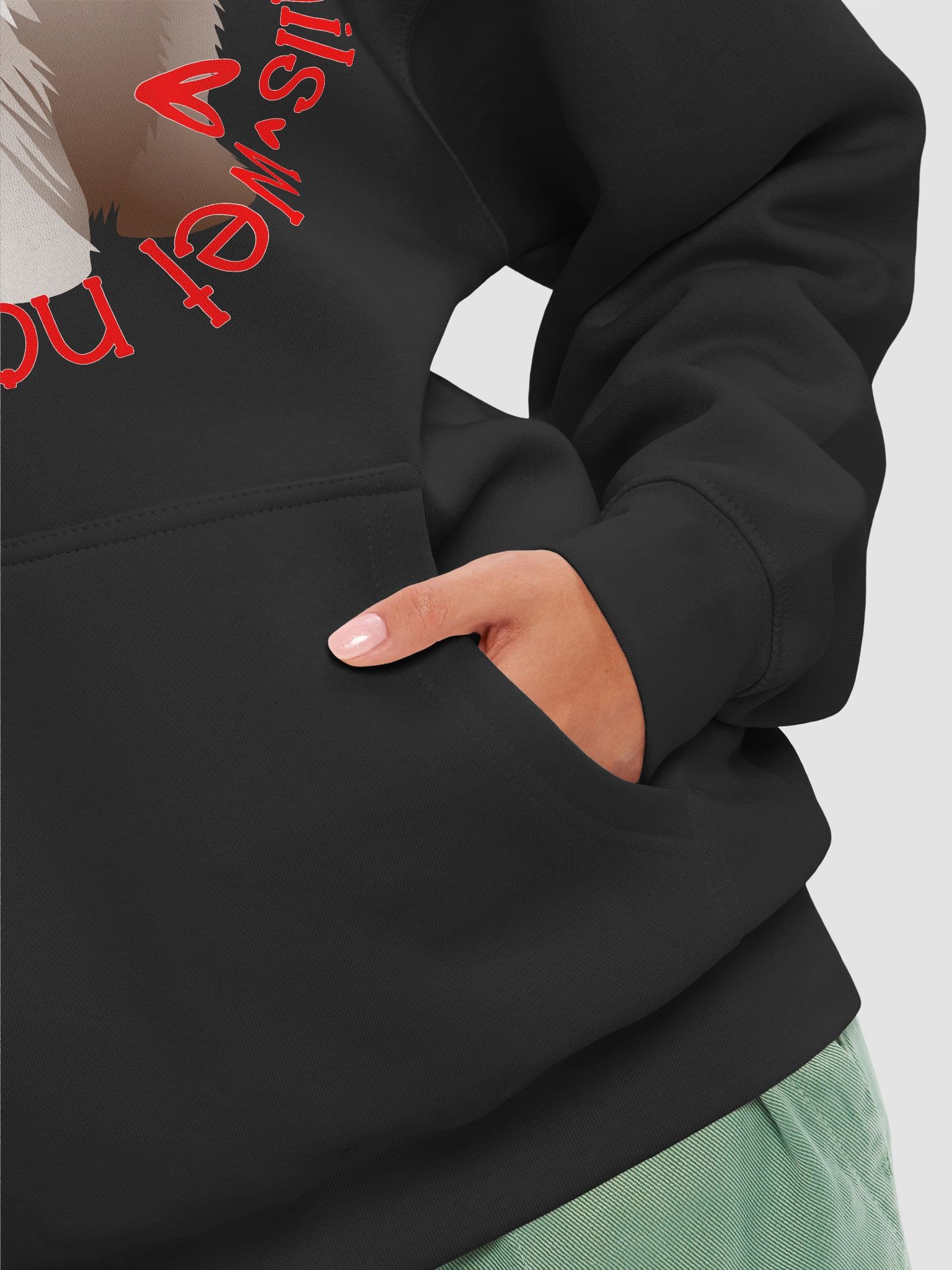 Sloppy Kisses Bearded Collie Hoodie product image (31)