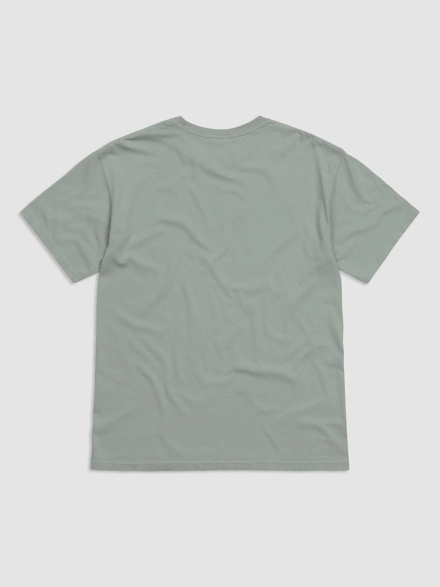Comfort Colors Garment-Dyed Heavyweight T-Shirt product image (24)
