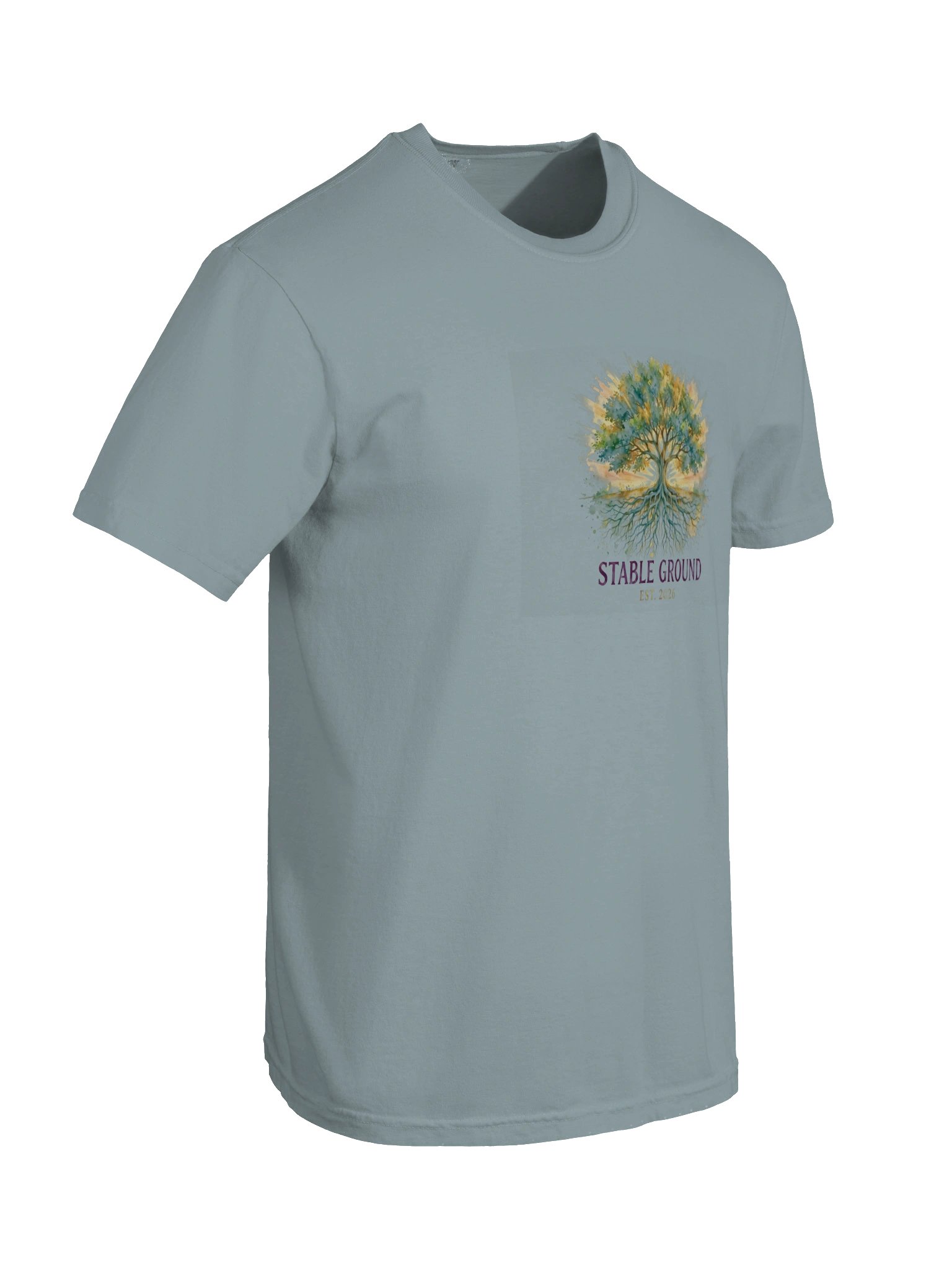 Stable Ground Logo Tee product image (46)