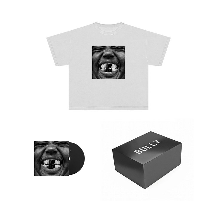 BULLY TS-O7 BOX product image (1)
