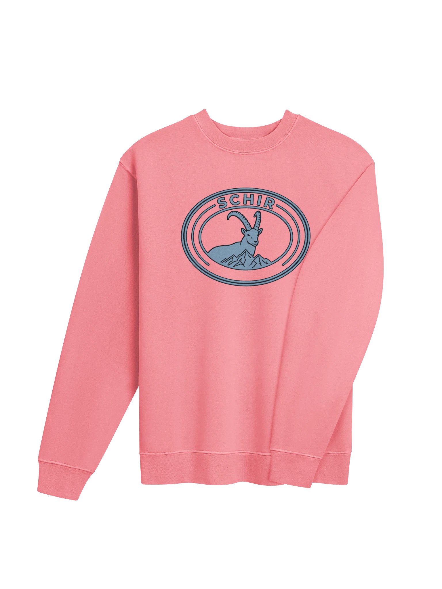 VIBES FRONT CREWNECK product image (3)