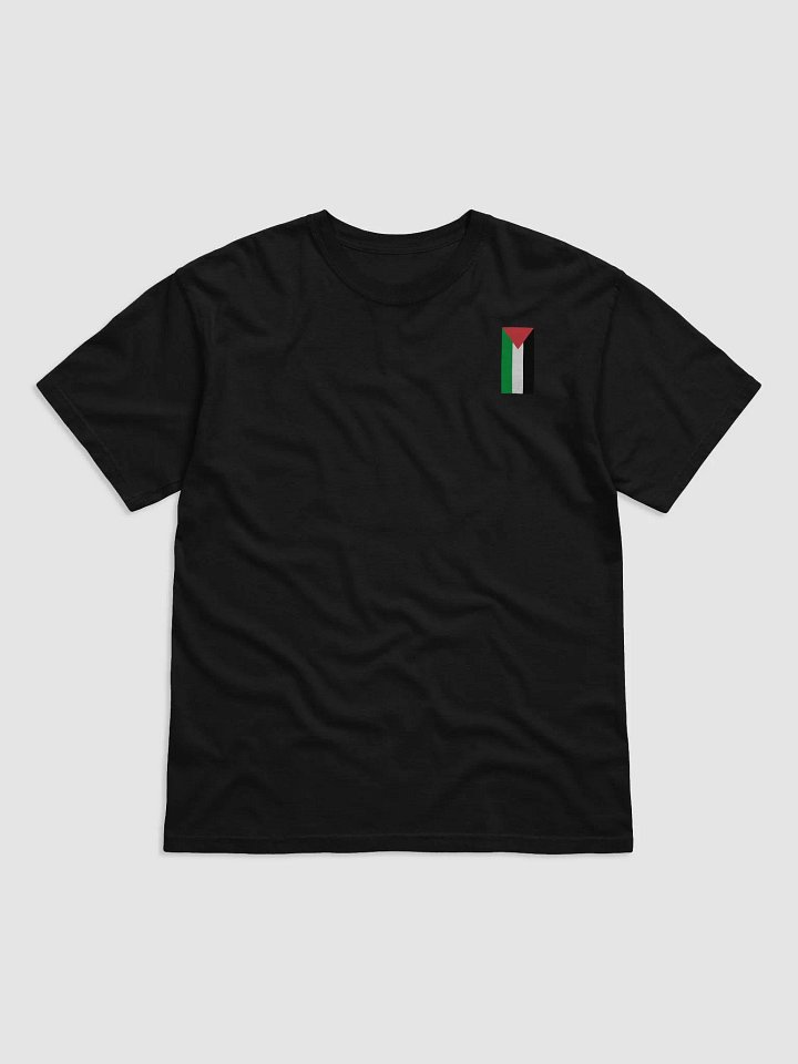 Palestine Flag T-Shirt / Black product image (1)