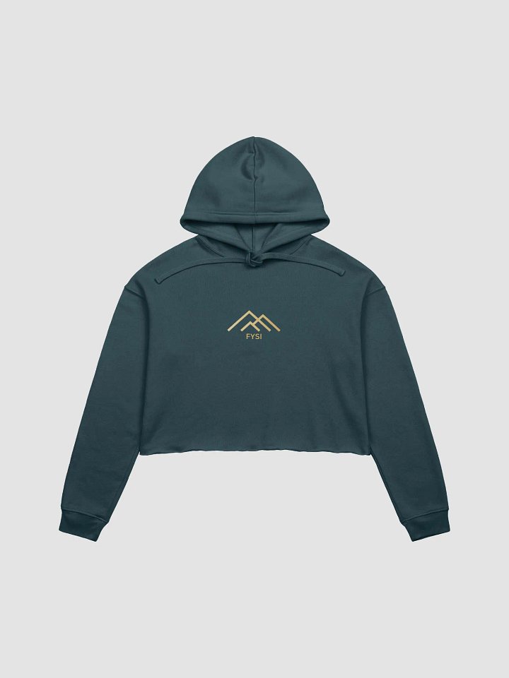 Graphic logo fleece crop hoodie product image (1)