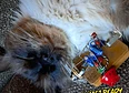 Updates's tag thumbnail
