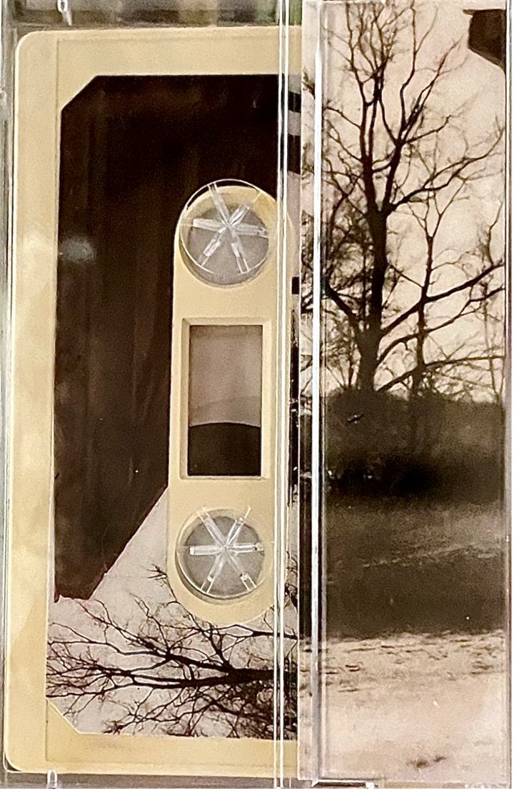 Dead, Dead Swans - Lenses [Cassette] product image (2)