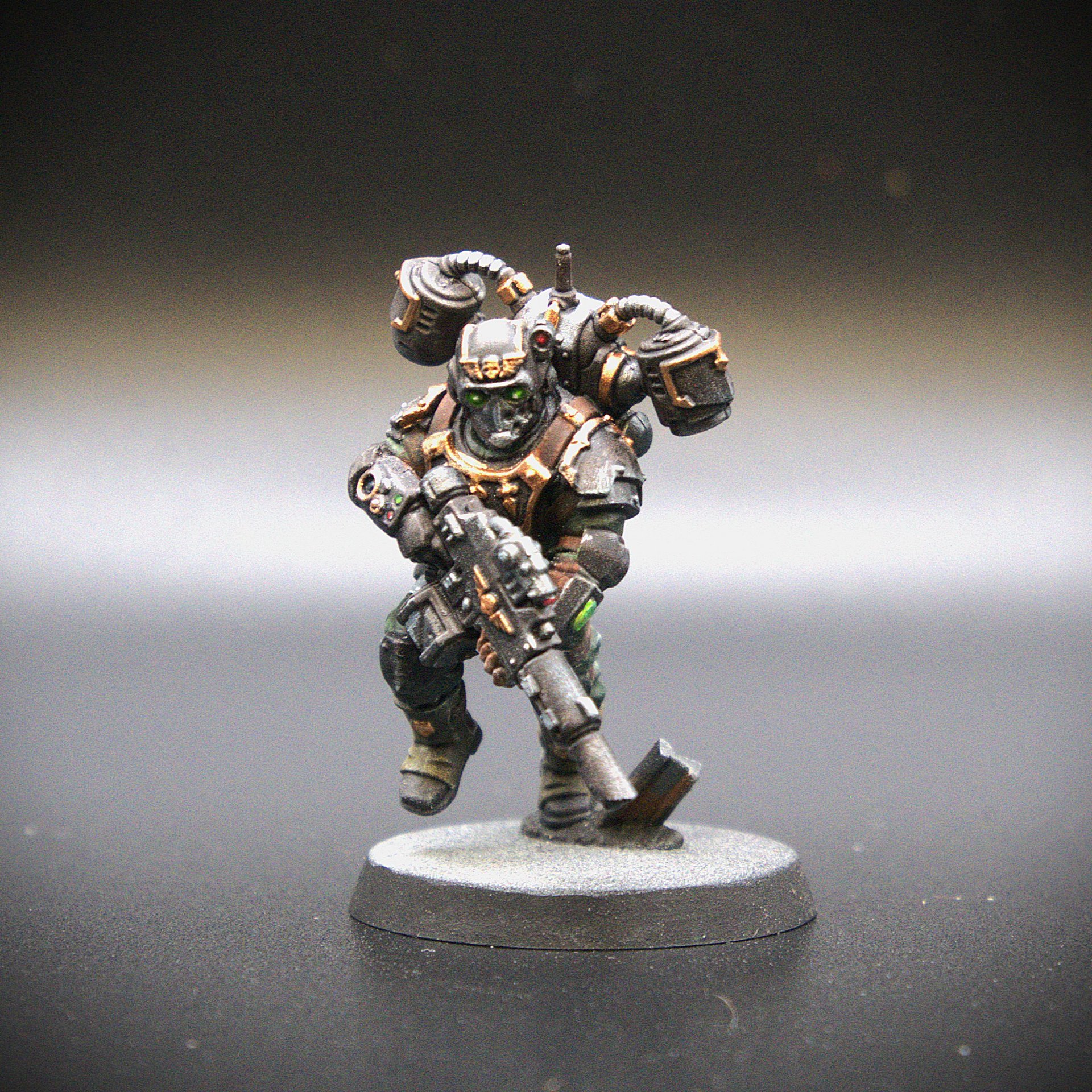 Tempestus Aquilons: Painted Models product image (11)