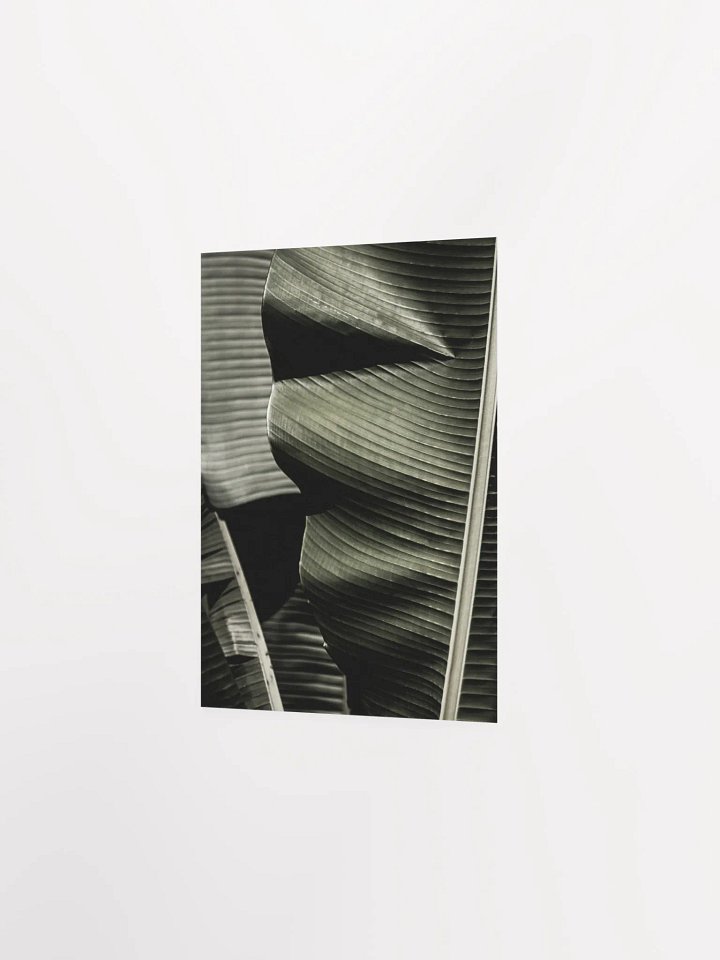 Banana Leaves Enhanced Matte Poster product image (15)