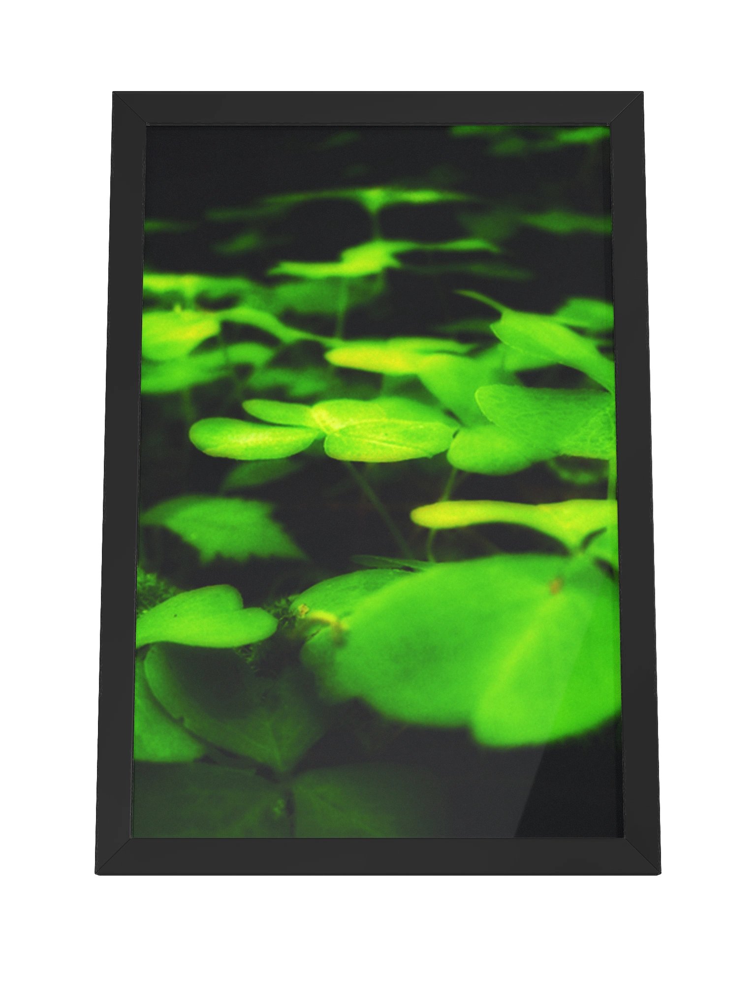 Drowse product image (4)