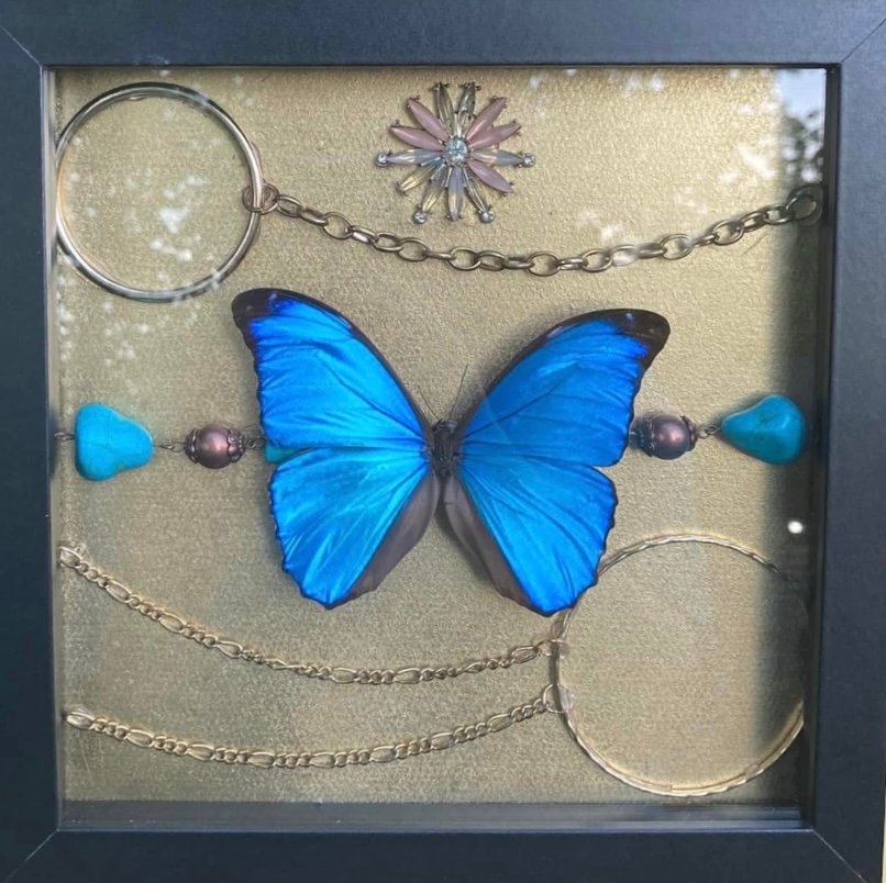 Butterfly box product image (10)
