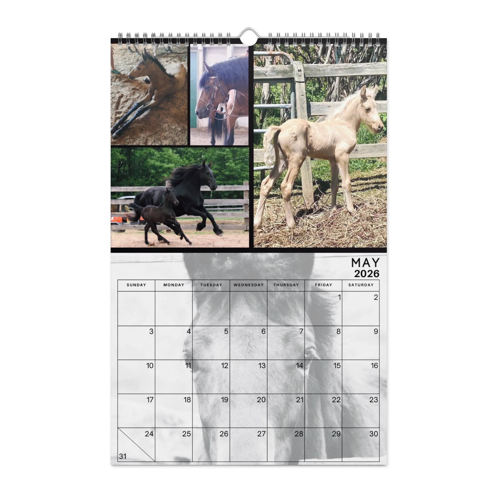 2026 Moriesian Horse Registry Calendar product image (10)