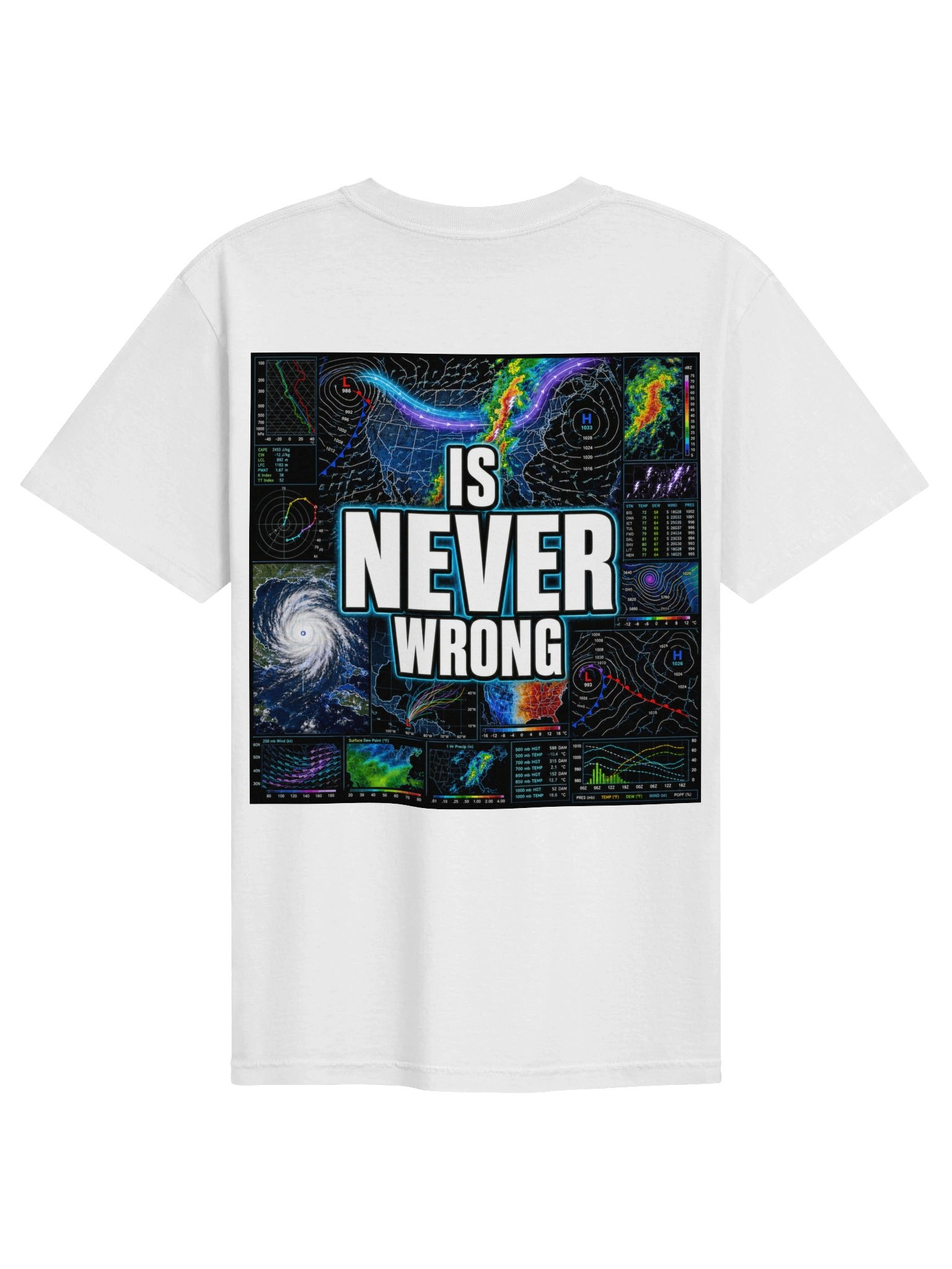 The Data Is Never Wrong product image (2)