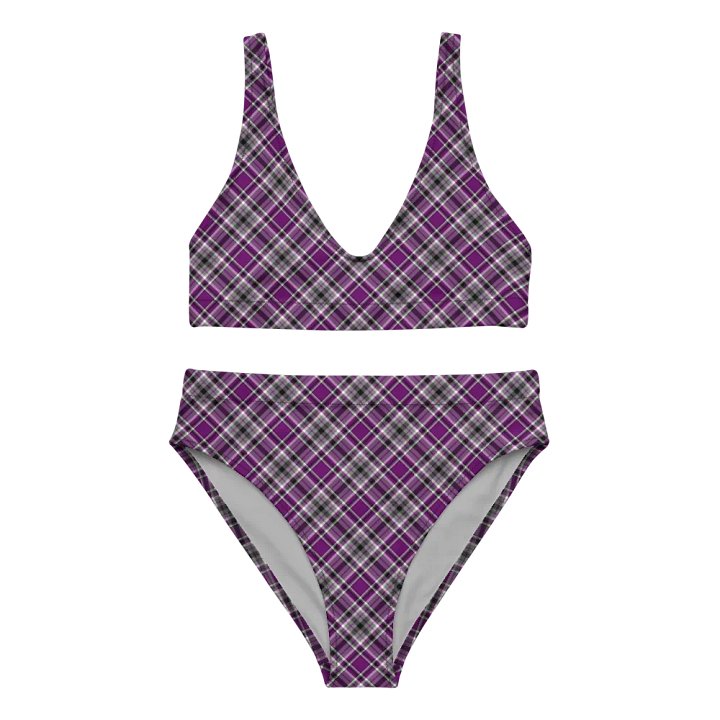 Purple, Gray, and Black Plaid Bikini product image (2)