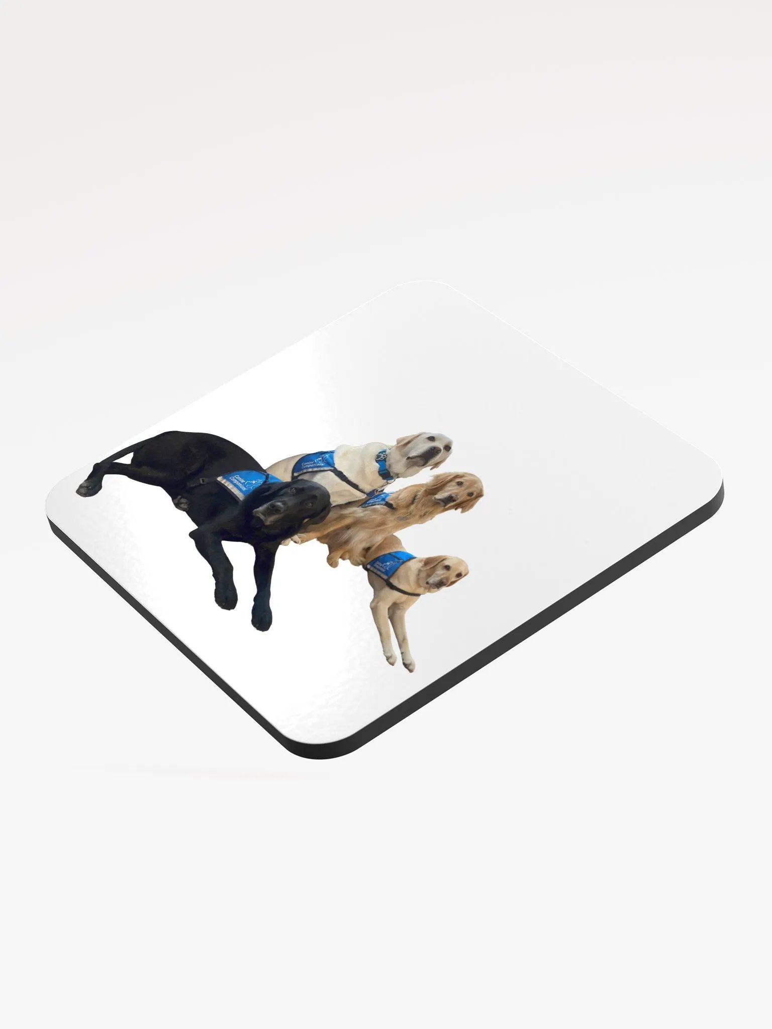 Facility Dogs Coaster product image (3)