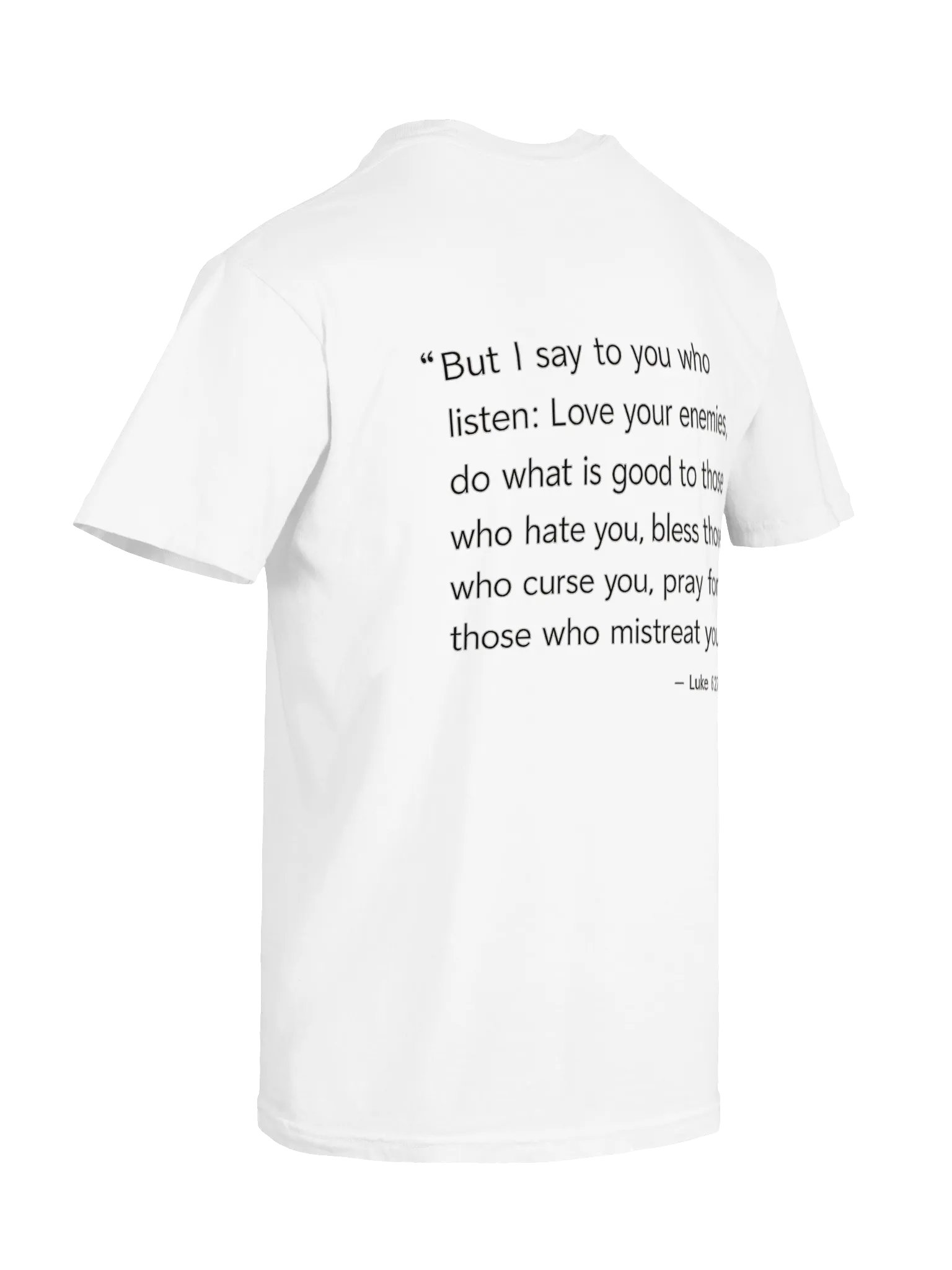 Biblical Truths: White Radical product image (8)