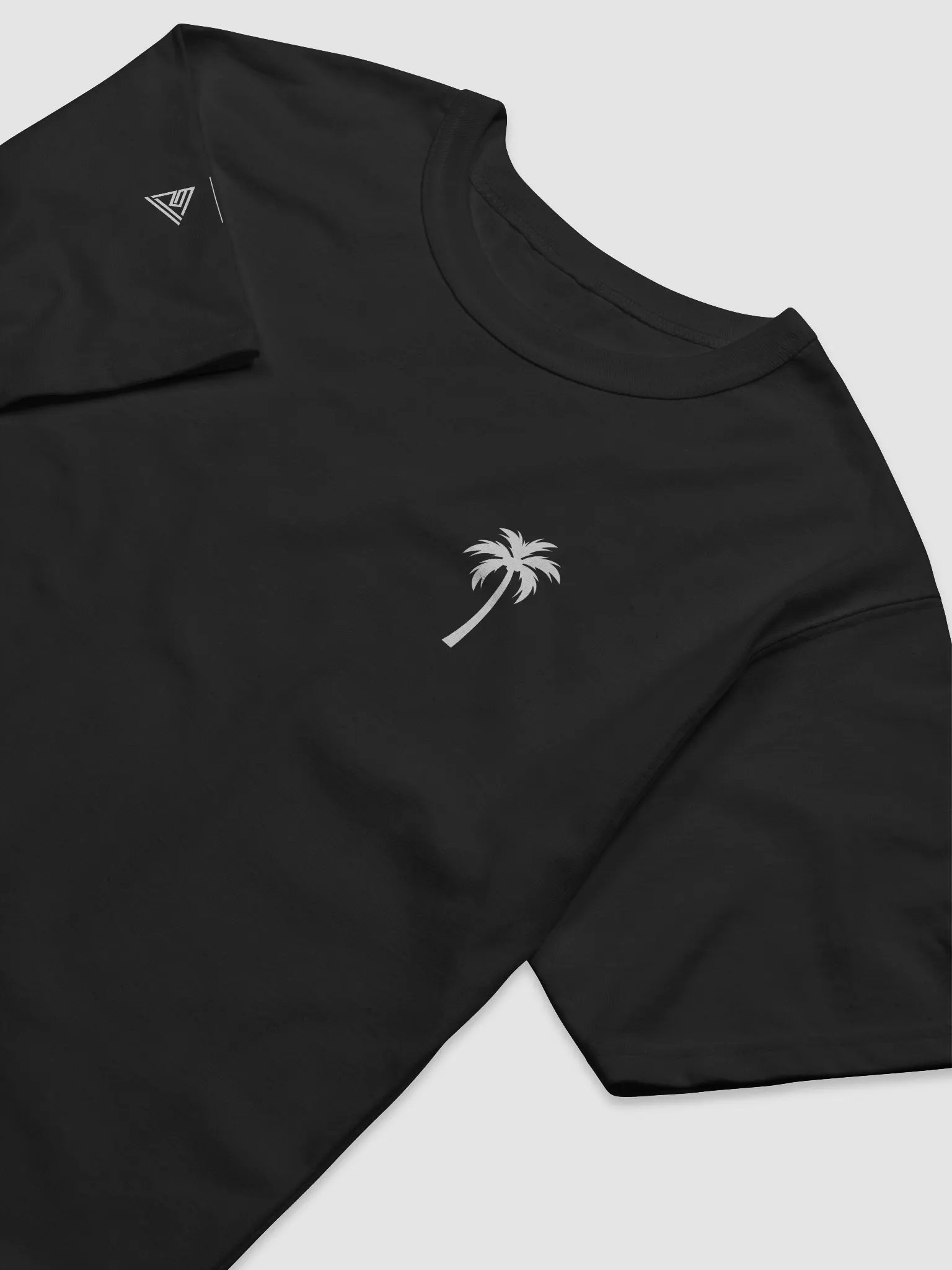 Razvan Mitroi x Champion Relaxed-fit T-Shirt - Black product image (2)