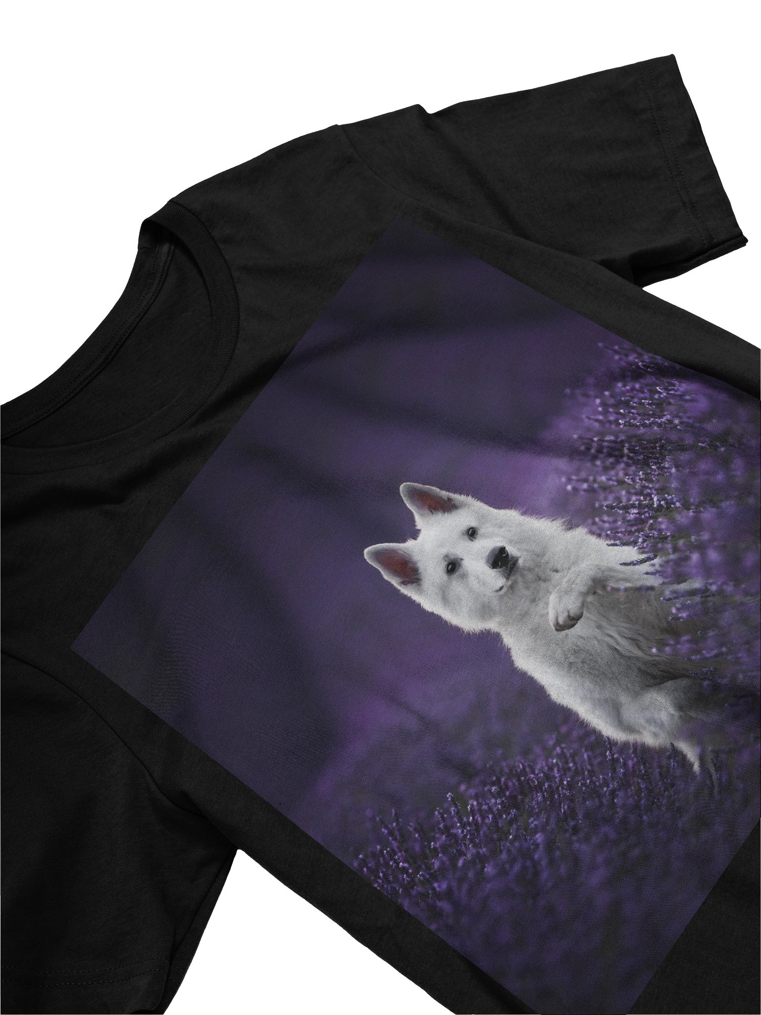 Rasta in the lavender fields product image (13)