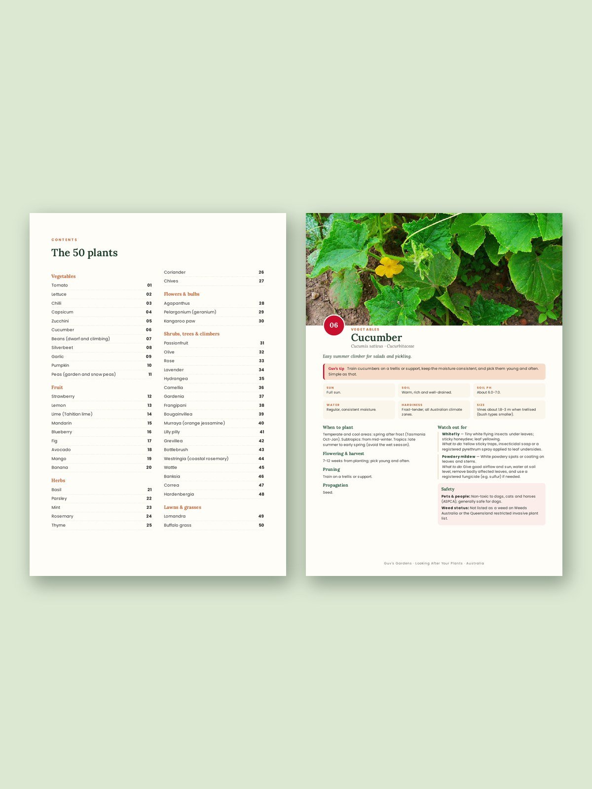 Looking After Your Plants (Australia Edition) product image (2)
