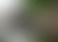 Cosplay's tag thumbnail