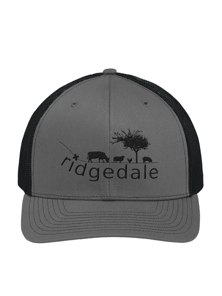 Ridgedale Cap Grey/Black product image (1)
