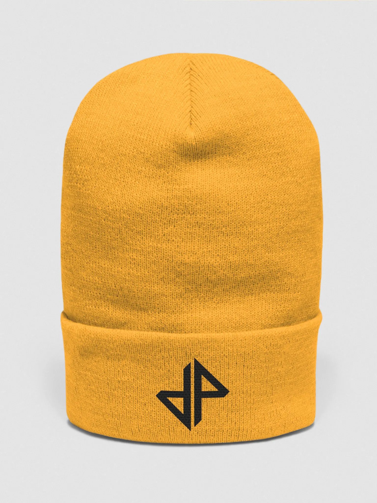 DP Logo Beanie (Black) product image (1)