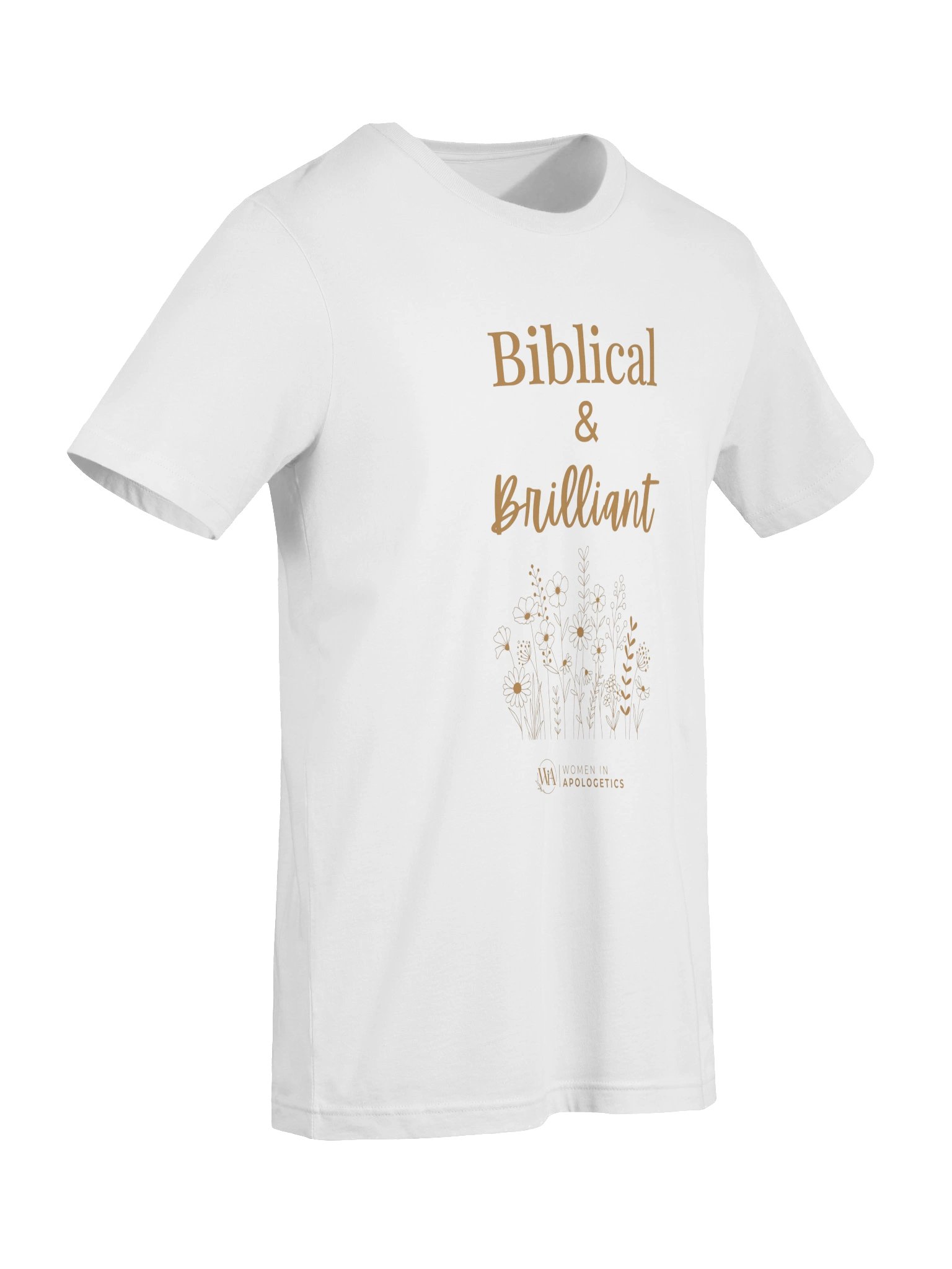 Biblical & Brilliant T-Shirt product image (7)