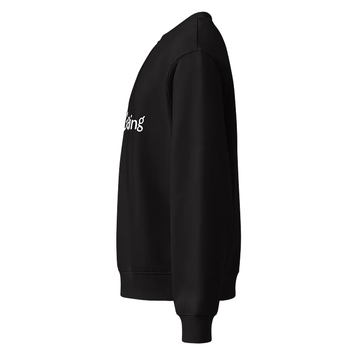 PigeonToast Gaming Crew Neck product image (2)