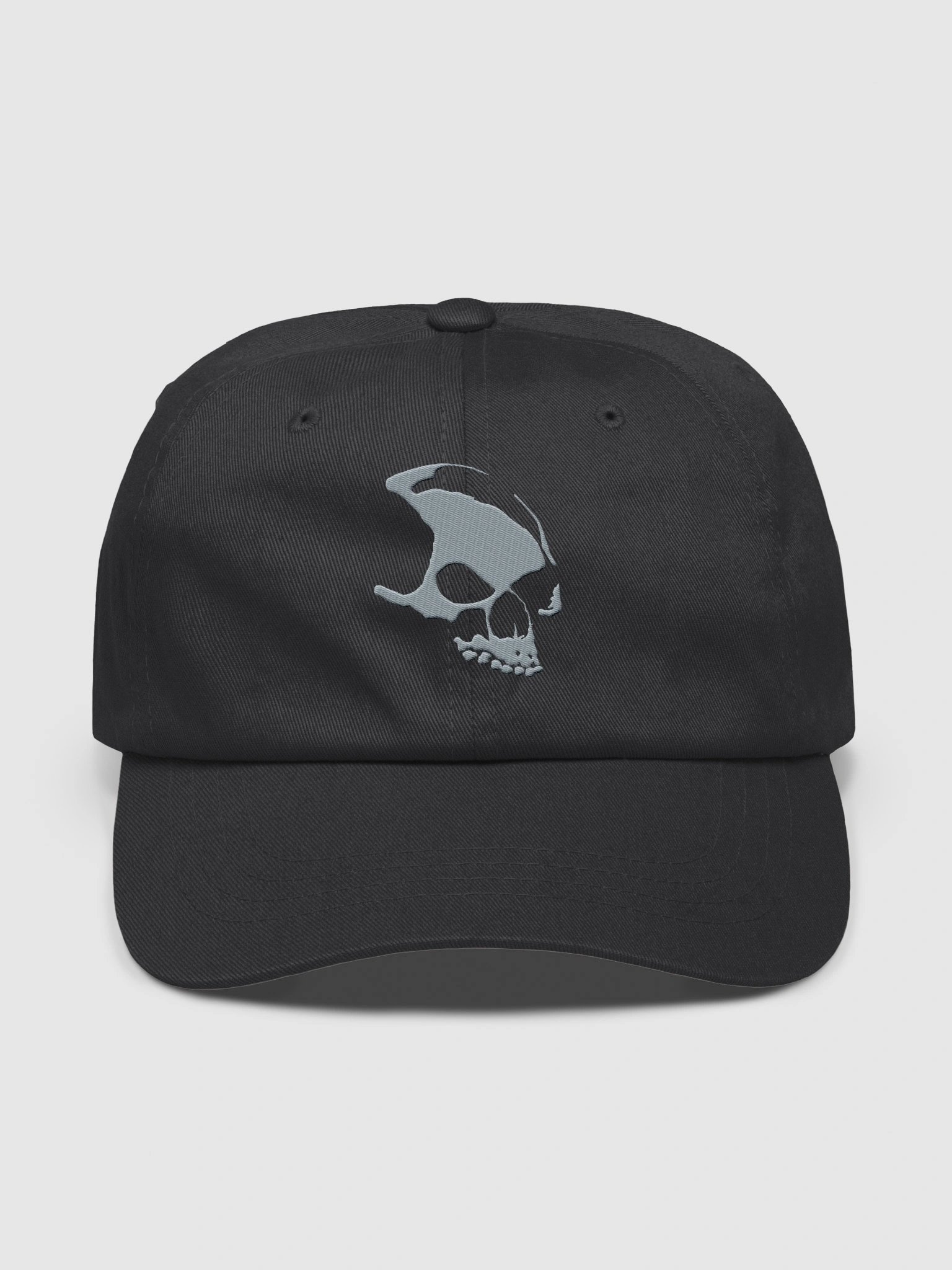Armada Skull Dad Hat product image (33)