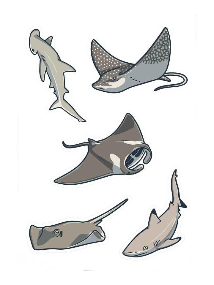 A Shiver of Sharks (and Rays) - Sticker Sheet #3 product image (1)