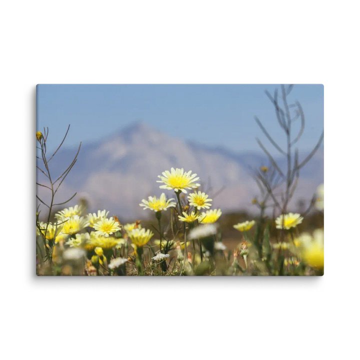 Canvas Print - Wildflowers with Mountains product image (2)