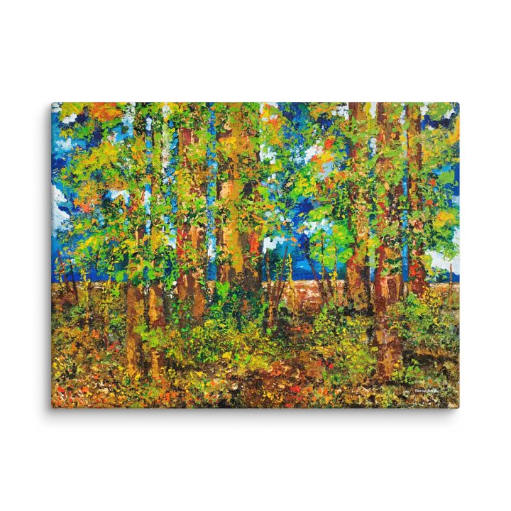 A Walk in the Forest Canvas Print 9x12" product image (1)
