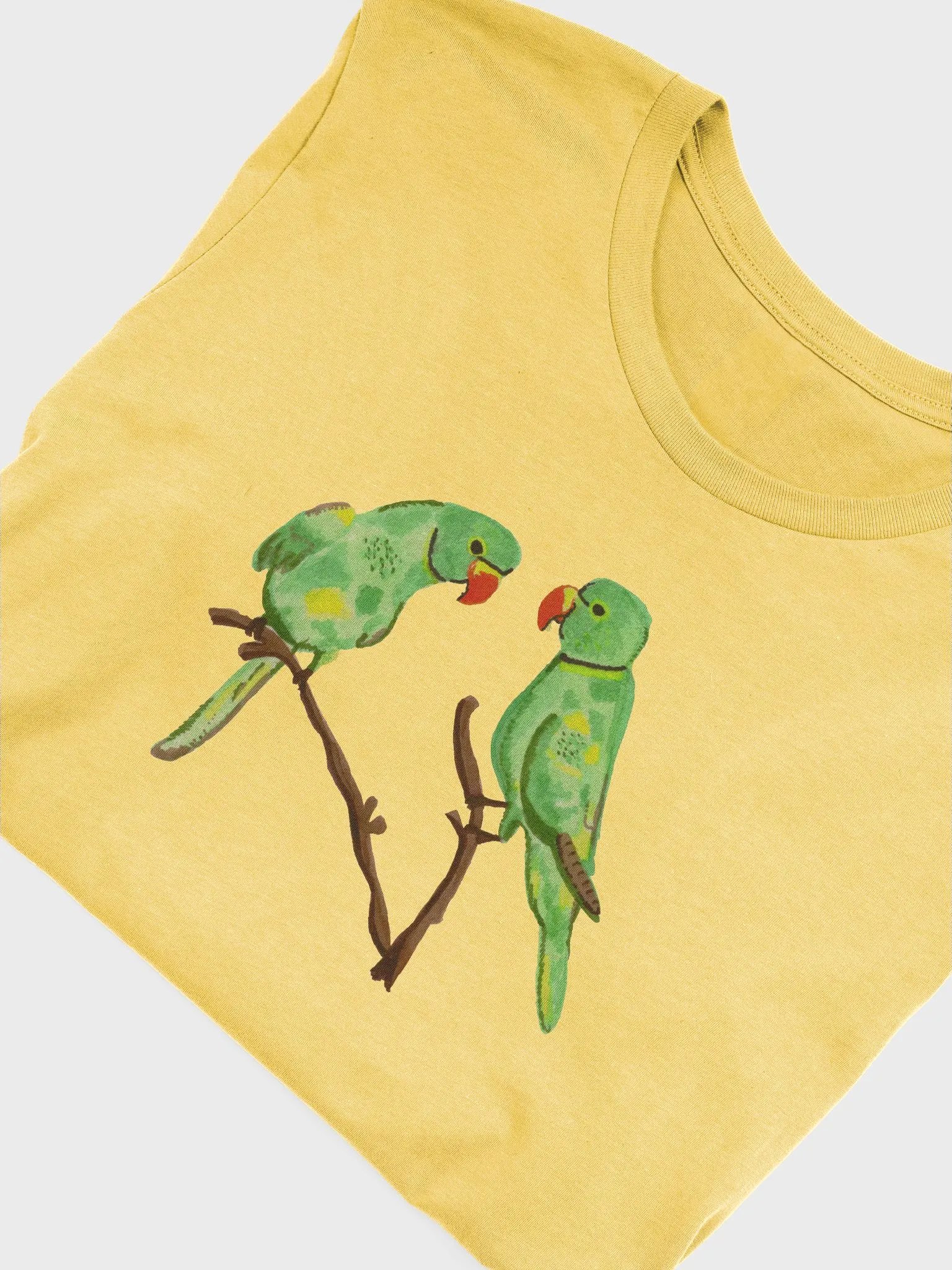 Birbs at the Window Supersoft Premium T-Shirt product image (1)