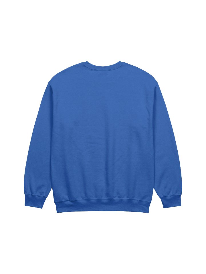 90's Sweatshirt in More Colors product image (2)