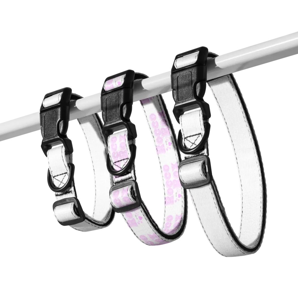 RoccoRox Dog Collar Size Medium product image (8)