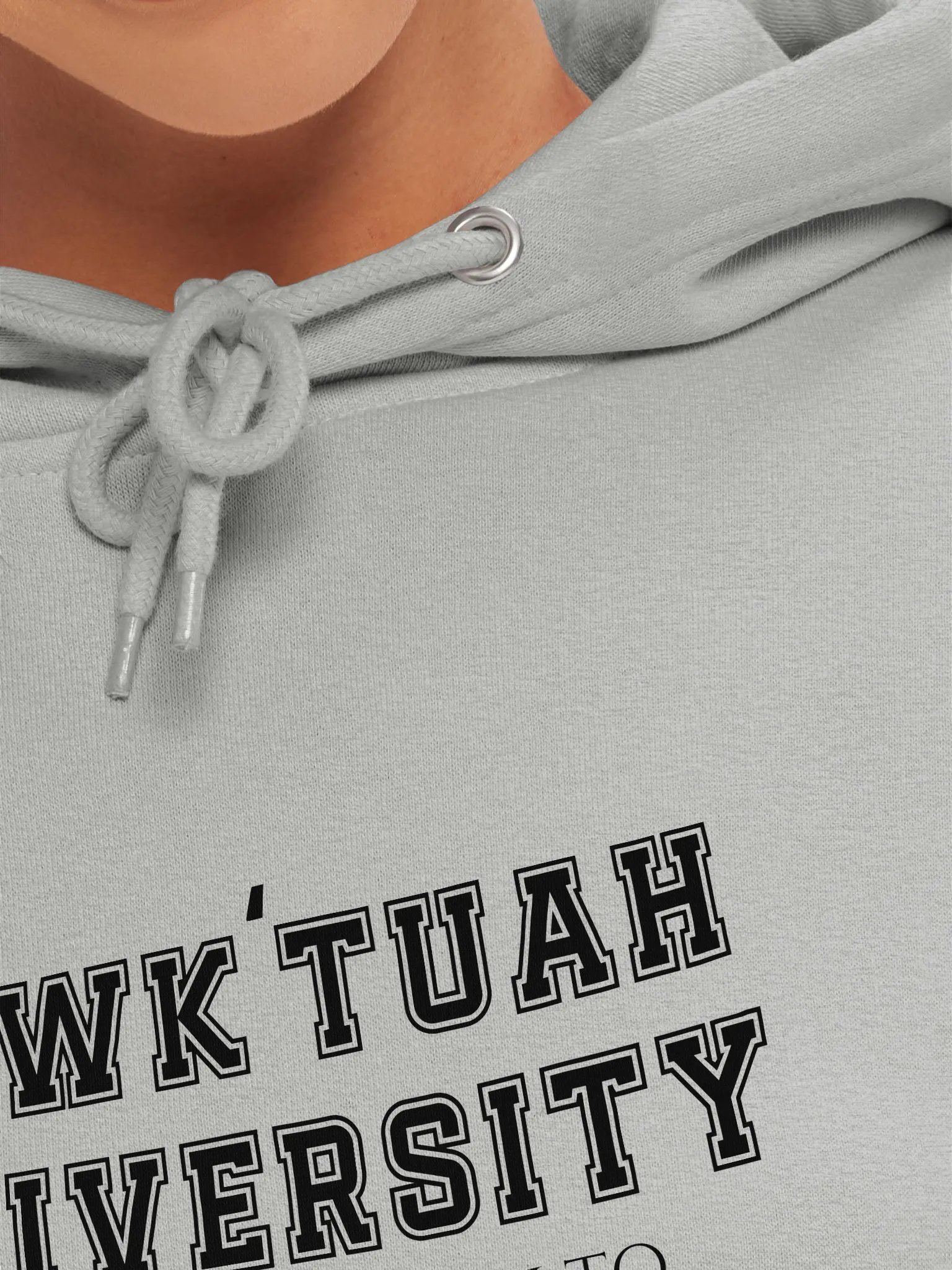 HAWK TUAH UNIVERSITY - Premium Pullover Hoodie product image (33)
