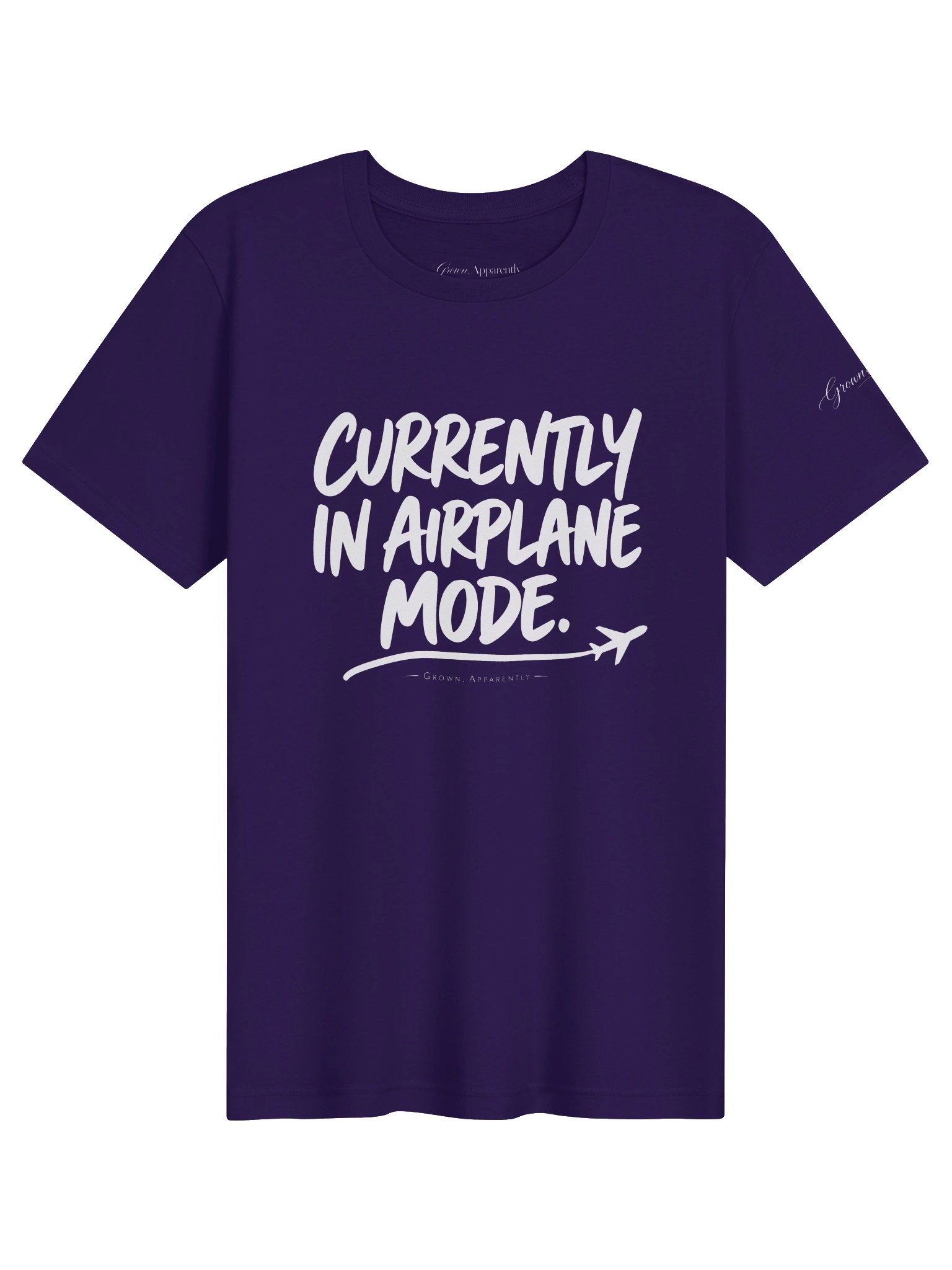 Currently in Airplane Mode Tee product image (57)