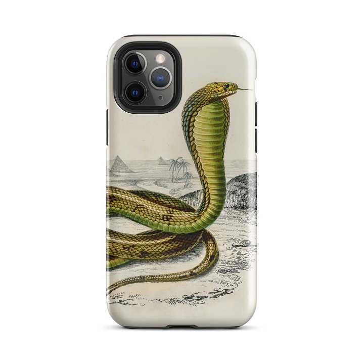 Vintage Snake Illustration iPhone® Tough Case product image (51)