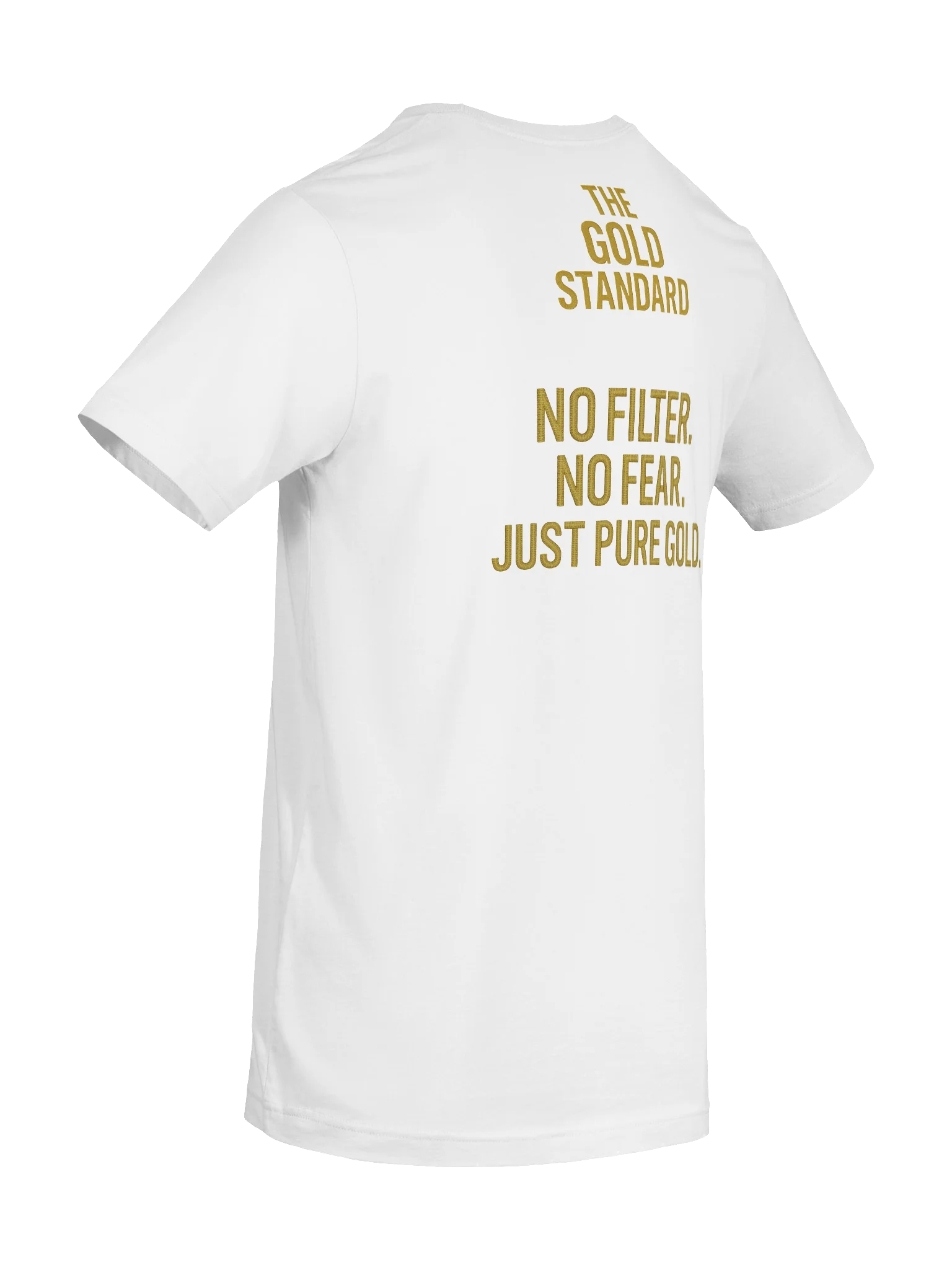 “Reclaim the Rainbow” — A Sign of God’s Mercy, Not Man’s Pride T-Shirt | Gold Standard Collection product image (10)